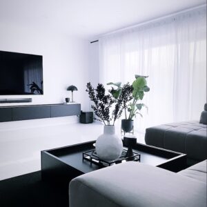 Small Living Room Ideas with TV